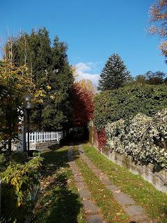 Sul lungolago di Pettenasco (No)