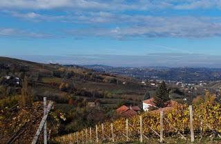 Le colline di Calamandrana (At)