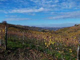 Le colline di Calamandrana (At)