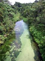 Franceville e il ponte di liane