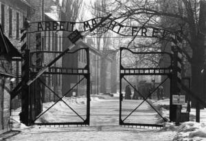 620x425xl43-olocausto-shoah-nazismo-130122182327_big.jpg.pagespeed.ic.7yTucFZuqK