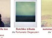 Foto della settimana