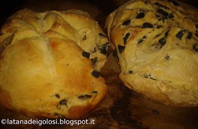 Pane alle olive