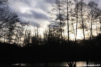 Progetto 52: al tramonto... e dopo il tramonto?