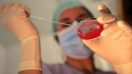 Fecondazione assistita 