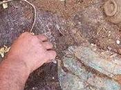 corona d'oro ritrovata Salonicco