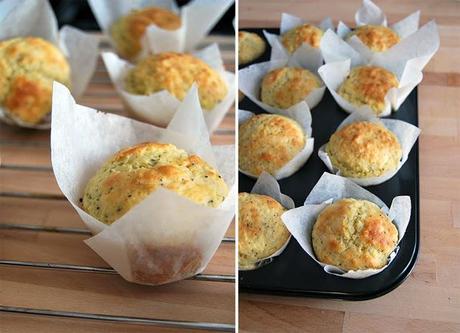 Lemon + Poppy Seed Muffins