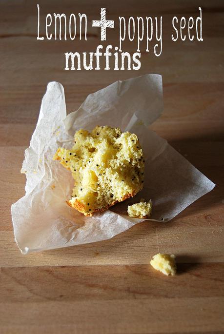 Lemon + Poppy Seed Muffins