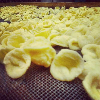 orecchiette foto