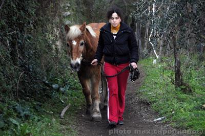 MARIA LUISA DE SIMONE : dog-walkin in Costa d'Amalfi