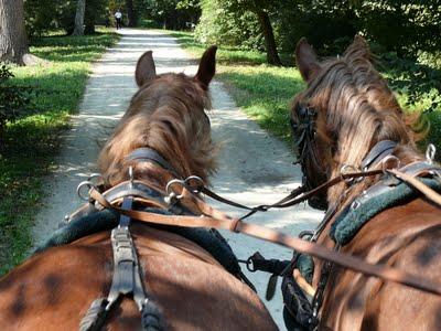 Come una volta..... con una carrozza al Castello di Racconigi