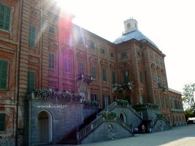 Come una volta..... con una carrozza al Castello di Racconigi