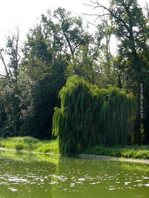 Come una volta..... con una carrozza al Castello di Racconigi