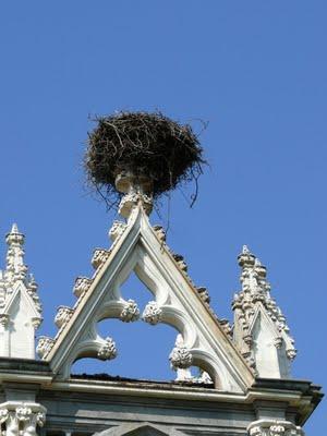 Come una volta..... con una carrozza al Castello di Racconigi