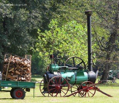 Come una volta..... con una carrozza al Castello di Racconigi