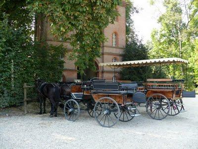 Come una volta..... con una carrozza al Castello di Racconigi