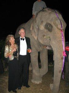 chitwan, nepal, elefanti