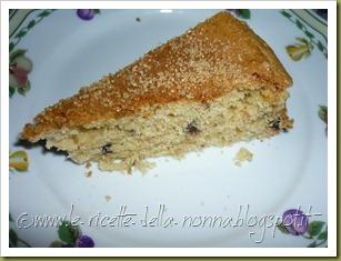 Torta senza glutine con gocce di cioccolato, zucchero di canna e vaniglia (8)