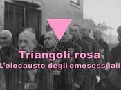 triangoli rosa: L’olocausto degli omosessuali