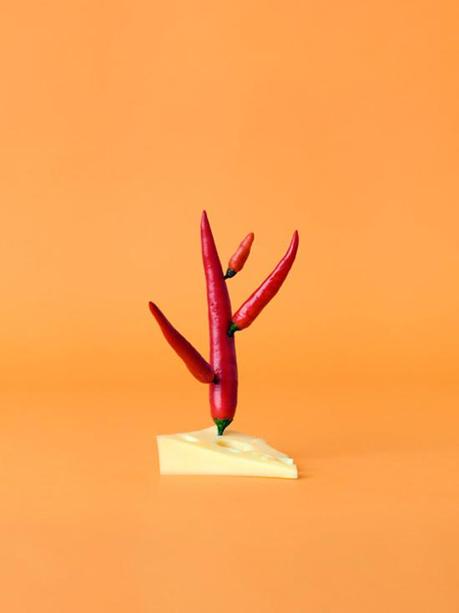 Arte vegetale di Carl Kleiner