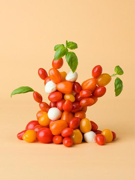 Arte vegetale di Carl Kleiner