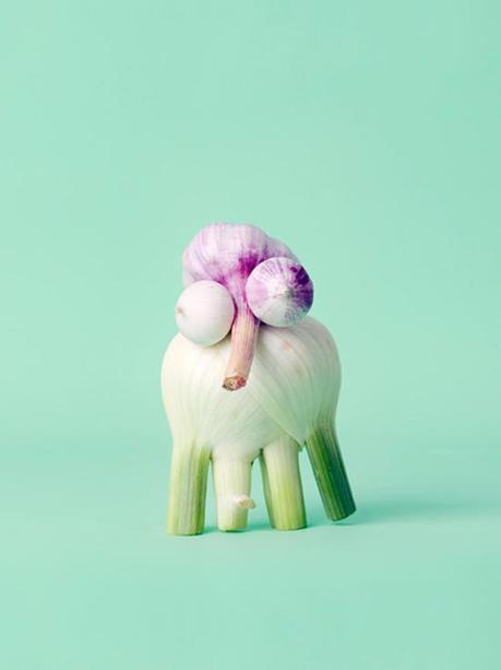 Arte vegetale di Carl Kleiner