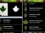 Leafsnap