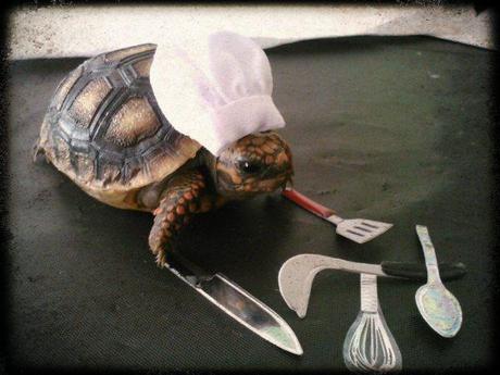 Come ti cucino? Stasera a Masterchef sfida con diverse tecniche di cottura