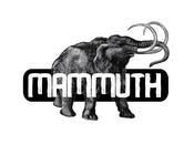 [link] Mammuth Pigneto inaugurazione 1/2/2013