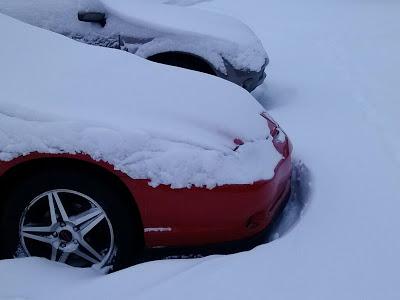 TEMPESTE INVERNALI ROMPONO 2 RECORD DI NEVE