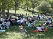 gita campagna elettorale