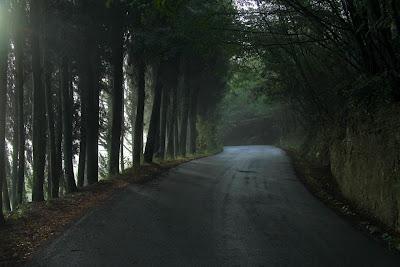 Aveva percorso la strada Seguendo un magico suono Il tintinnio...