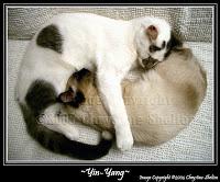 Una vita non basta Vorrei regalartene un'altraper stare a...