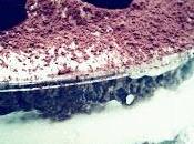 blueberry cake.....(torta mirtilli)