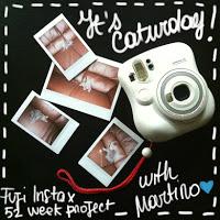 It's Caturday! - WEEK 19/52