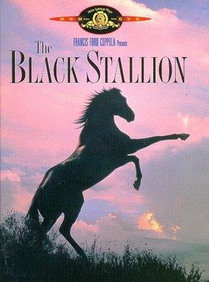 black-stallion-DVDcover