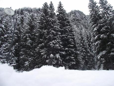 Charleston style in the snow