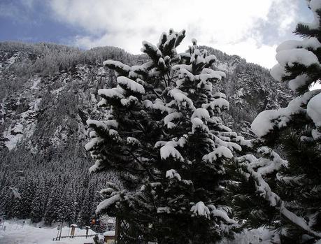 Charleston style in the snow