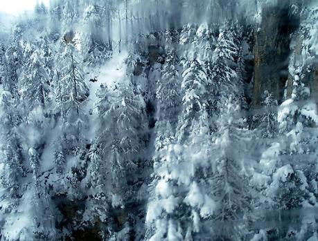 Charleston style in the snow