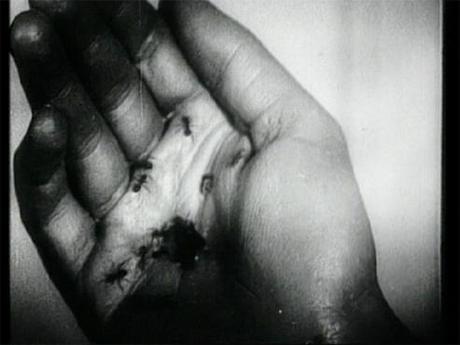 Un Cane Andaluso (Un Chien Andalou) – Luis Buñuel (1929)
