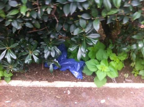 Ehi tu, sei ancora convinto di aver investito bene il tuo miliardino del vecchio conio per comprarti l'appartamento nella fogna di Monteverde? Queste foto in giusto 300 metri di strada. Il resto è peggio