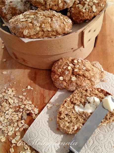 Irish oaten bread rolls (pane pigro)