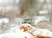 Neve Londra 2013