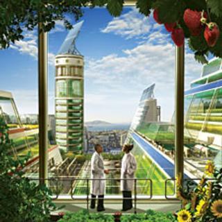 the-rise-of-vertical-farms_1