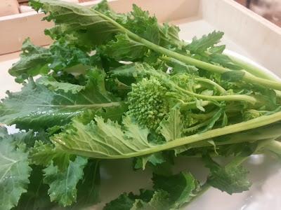 crostone di pane con cime di rapa e salsiccia