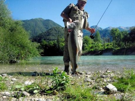 marble trout world record Igfa (Soca river, fly fishing in Slovenia)