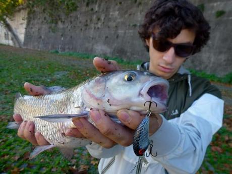 Federico Marrone Urban FIshing