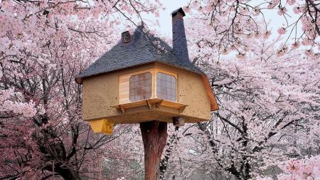 tree houses 1