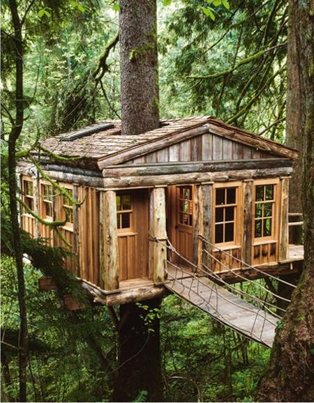 tree houses 4