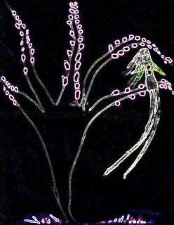 I RE MAGI E LA BEFANA LE FESTE MANDAN VIA